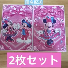 ディズニーランド パルパルーザ ミニー ポストカード2枚セット