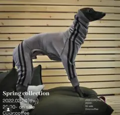 USHH ジャージロンパース 犬服 グレー チャコールカフェ イタグレ Sサイズのサムネイル