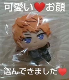 ヒプマイ ヒプノシスマイク ちびぐるみ ぬいぐるみ 毒島メイソン理鶯 ⑧