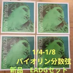バイオリン エヴァピラッツィ 新品4本セット（G,D,A,E(ループエンド