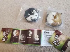 なべねこ 猫のフィギュア 2個セット ガチャガチャ