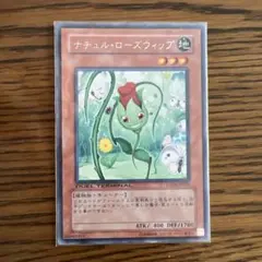 ナチュル　ローズ　ウィップ　傷あり　3枚セット 2026年最新】ナチュルローズウィップの人気アイテム - メルカリ