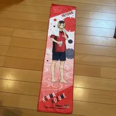ハイキュー ネコマ　ケンマタオル