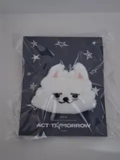TXT ACT:TOMORROW in Japan マスコットリング ヨンモン