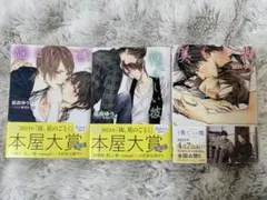 凪良ゆう 「美しい彼」 「憎らしい彼」 「悩ましい彼」 小説 3巻セット