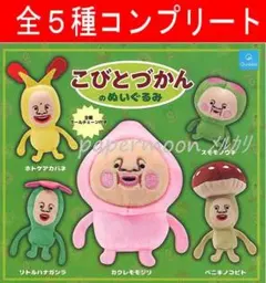 全5種　こびとづかんのぬいぐるみ　コンプリート　ガチャ