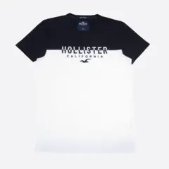 ★新品★ホリスター★ロゴ刺繍カラーブロックTシャツ(White/Black/S)