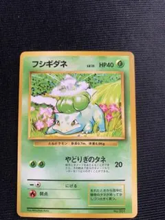 ポケモンカード 旧裏 マークなしフシギダネ ○ 第1弾拡張パック - メルカリ