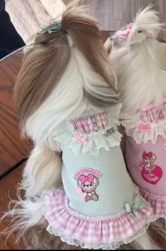 Item thumbnail for item 6805c098-4e37-495e-9eba-1906d1683991