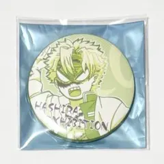 鬼滅の刃　柱展　柱百景　～エモーショナル缶バッジ40～