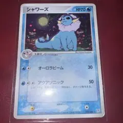 シャワーズ ☆ 強化拡張パックex1 マグマVSアクア ふたつの野望 022