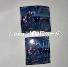 ☆coro☆様専用ページ