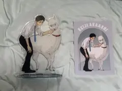 ハイキュー‼︎ 東武動物公園　赤葦京治　BIGアクスタ　ポストカード