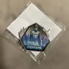 2025年最新】日本ハム ピンバッジの人気アイテム - メルカリ