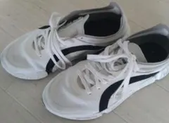 Item thumbnail for item 481f456f-2e21-45c1-8752-6ad18218f565