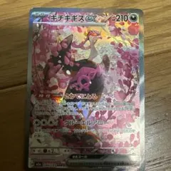 キチキギスex SAR 244/193おまけあり