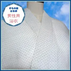 Item thumbnail for item 35516a6b-218b-4a7d-90d4-32616ac46348