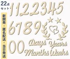 Item thumbnail for item a17a22a6-35a6-4fc2-aa2c-139283a7aa73