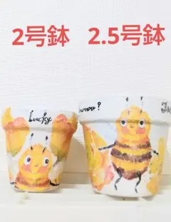 婆ちゃんのリメイク鉢『願い』2個セット - メルカリ