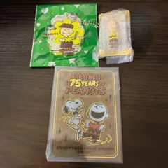 PEANUTS スヌーピー チャーリーブラウン セット