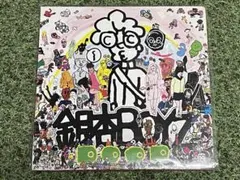 【期間限定値下げ】銀杏BOYZ DOOR LP レコード 銀杏BOYZ DOOR LPレコード 期間限定値下げ】銀杏BOYZ DOOR LP レコード