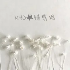 ❁︎KYO★様専用ページ❁︎