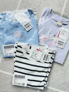 Item thumbnail for item b4308062-1184-4eca-9c53-70d433c1bbee