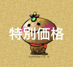 期間限定特別価格