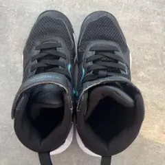 Item thumbnail for item c3e3c5f0-b2b4-4a79-b7c0-a6dc923b05f7