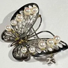 Item thumbnail for item 07f73a19-0a28-436a-9f66-8dad21a2b79a