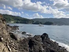 ぱ様　専用