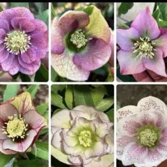 おけい様 リクエスト 2点 まとめ商品