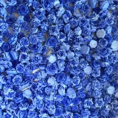 あかつき様 リクエスト 4点 まとめ商品【値引き済み】