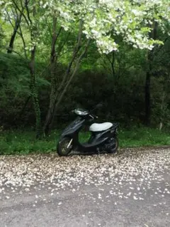 2025年最新】dio zx 車体の人気アイテム - メルカリ