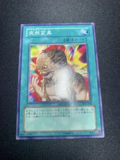 遊戯王 ダンジョン・ワーム 初期 レア - メルカリ