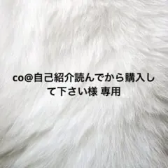 co@自己紹介読んでから購入して下さい様 専用