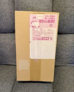 ポケモンセンター　トウホクスペシャルボックス 新品未開封　再販当選品