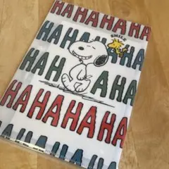 スヌーピー PEANUTS ファイル付きレターセット おまけ付き
