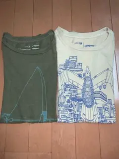 Patagonia パタゴニア オーガニックコットンTシャツ2枚SET