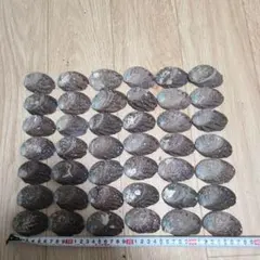 アワビ 貝殻 42個セットハンドメイド素材