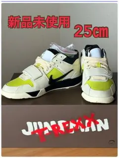 【新品未使用】ジャンプマンジャック TR トラヴィス 25センチ　NIKE