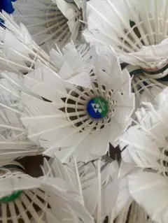 YONEX GOSEN シャトル セミ基礎打ち 50個 - メルカリ
