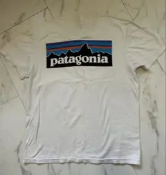 patagonia オーガニックコットン Tシャツ Mレディース バックプリント