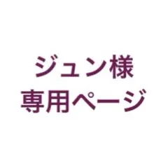 ジュン様専用ページ