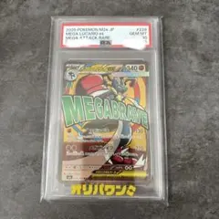 2026年最新】ルカリオex psa10の人気アイテム - メルカリ