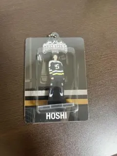 ホシ　アクリルキーリング　seventeen home