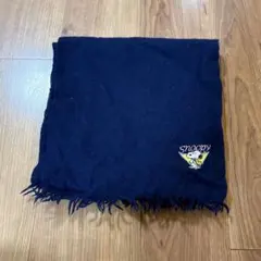 Item thumbnail for item ceabb541-a9cc-4544-80a2-177e61375e3e