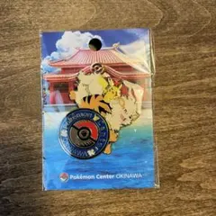 ポケモンセンターオキナワ　ロゴピンズ　ピカチュウ　ウインディ