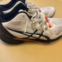 ASICS SKY ELITE FF