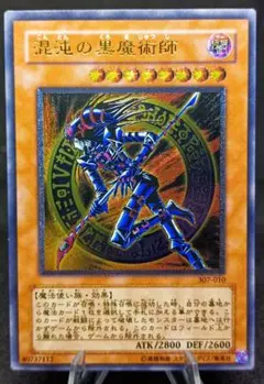 2025年最新】307-010 混沌の黒魔術師の人気アイテム - メルカリ